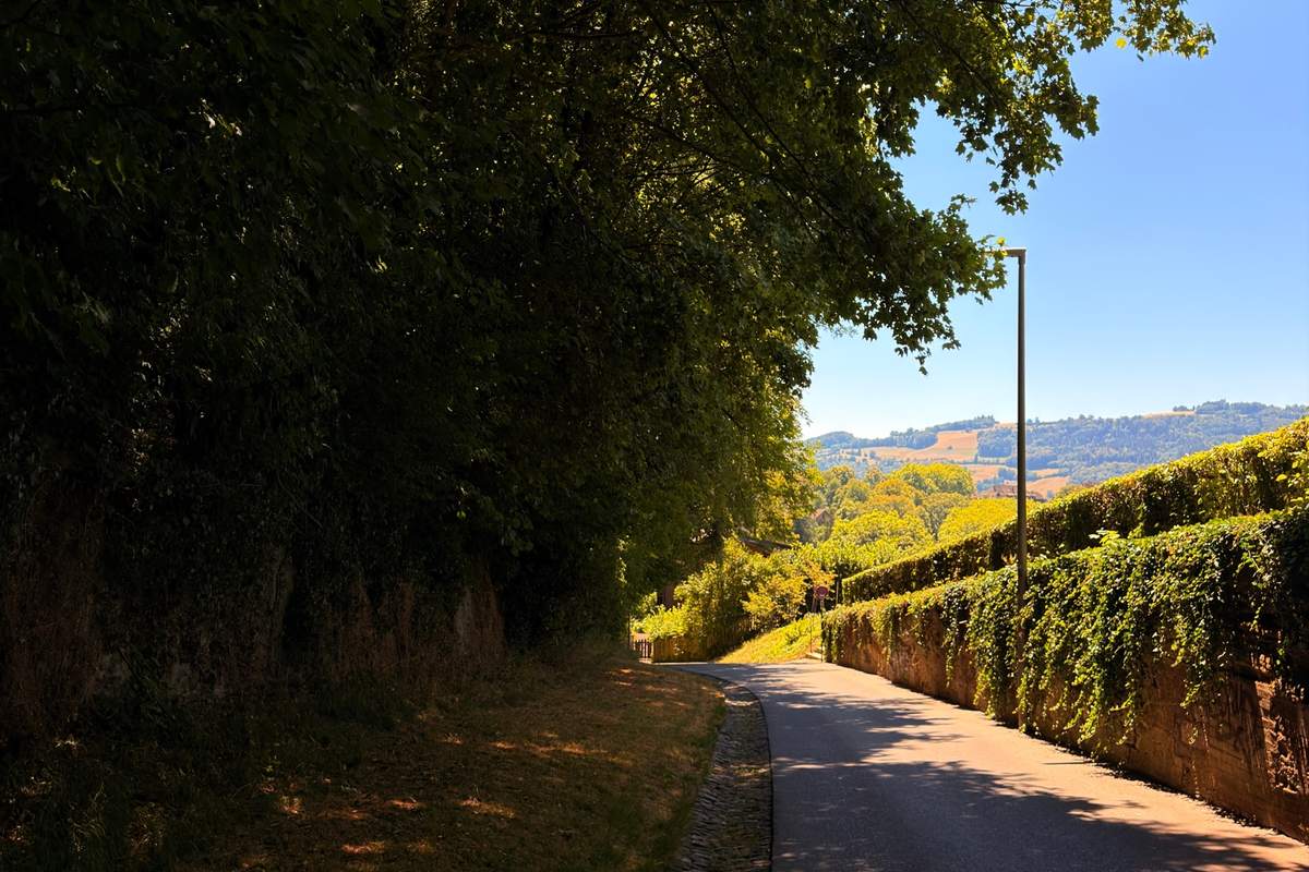 Bern: Rosengarten & the Bear Park — 3/3