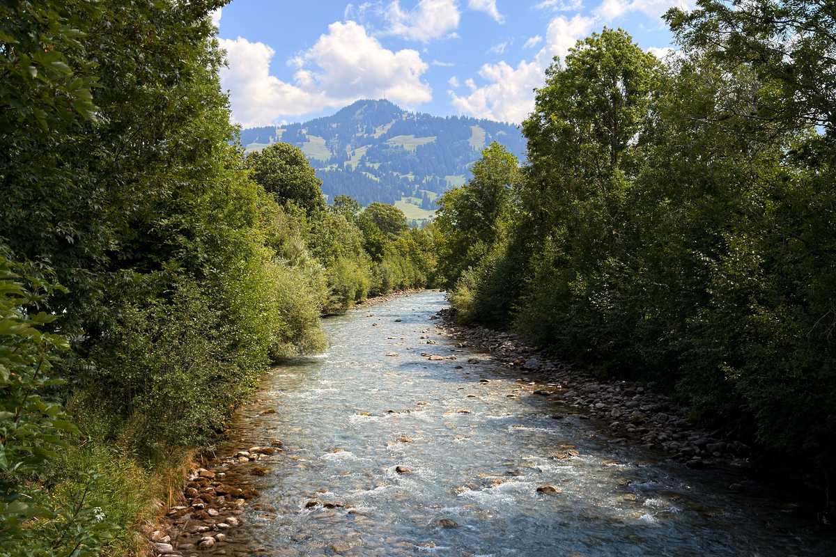 Gstaad, Saanen & Lauenen — 3/4