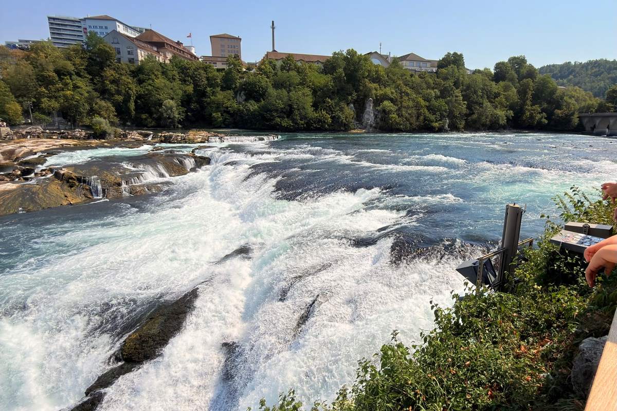 Zürich, the Rhine Falls & the Rhine — 2/4