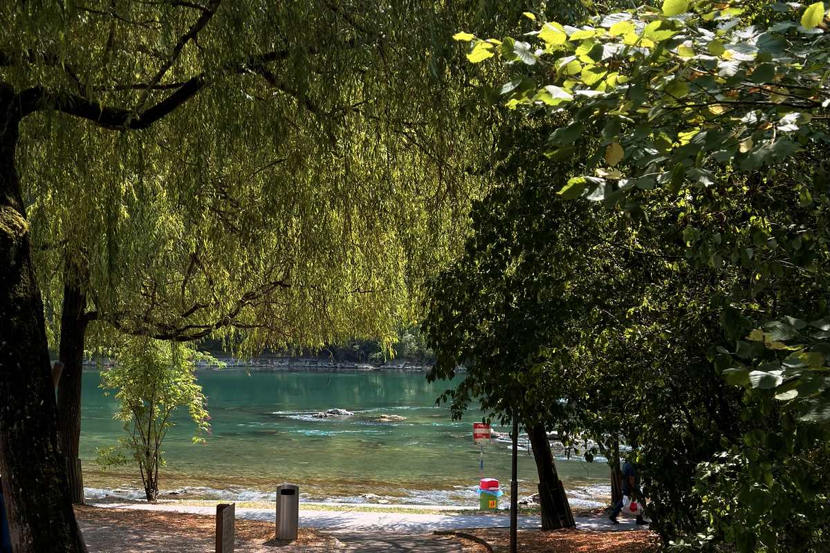 Zürich, the Rhine Falls & the Rhine — 3/4